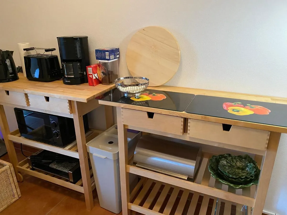 Apartman Modernes Alpenapartment Mit Sauna Wintergarten Und Pool Salzburg