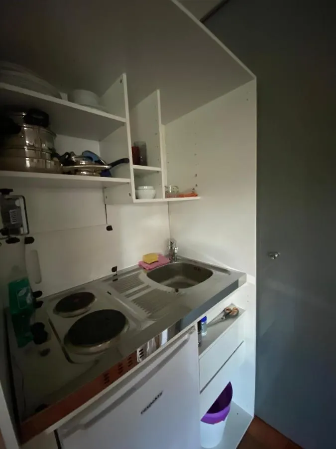 Apartman Modernes Alpenapartment Mit Sauna Wintergarten Und Pool Salzburg